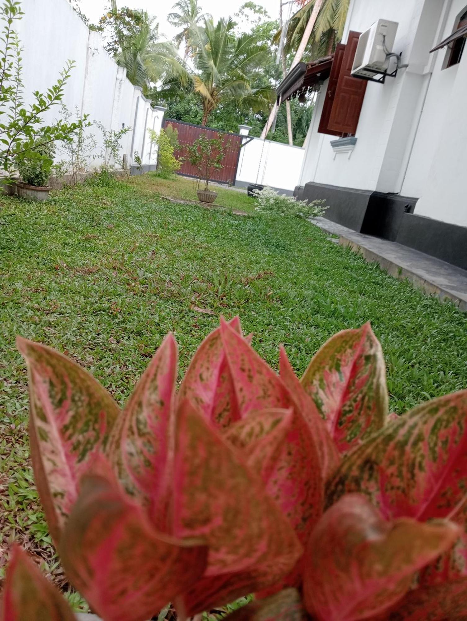 Ranagiri Relaxing Bungalow เบนโตตา ภายนอก รูปภาพ